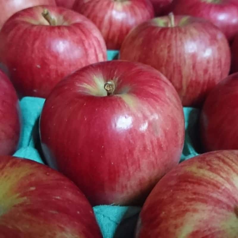 通販でりんごを買う際の失敗しない選び方3ステップと保存のコツ