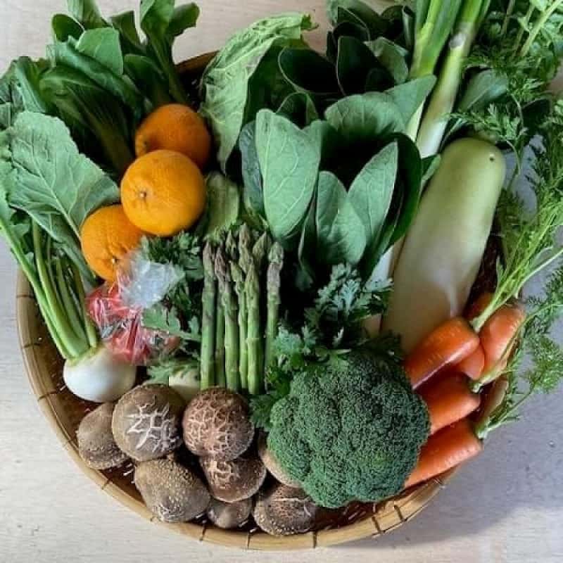 旬の冬野菜を農家直送で楽しむ！通販選びのポイントと保存のコツ