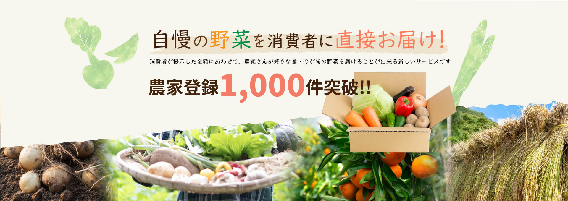 農家さんの野菜を消費者に直接お届けします。1/31(Thu)OPEN