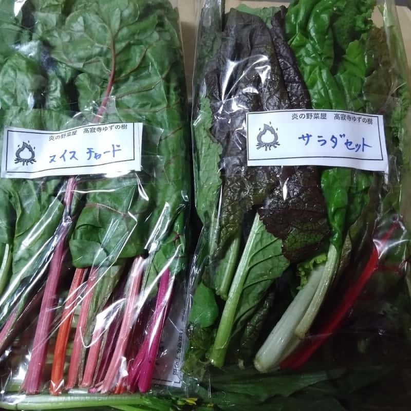 野菜の種 15種セット とろねぎ 赤玉ねぎ ビーツ パクチー エゴマ 空芯菜