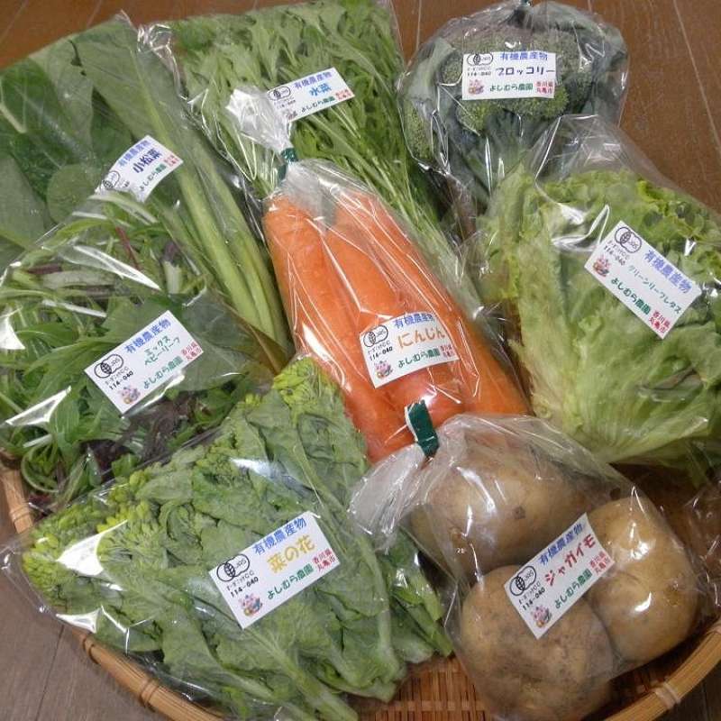 11400円 毎日がバーゲンセール プロトリーフ 野菜豊作 野菜の有機肥料 700g ×30袋 ラッピング不可 代引不可 同梱不可