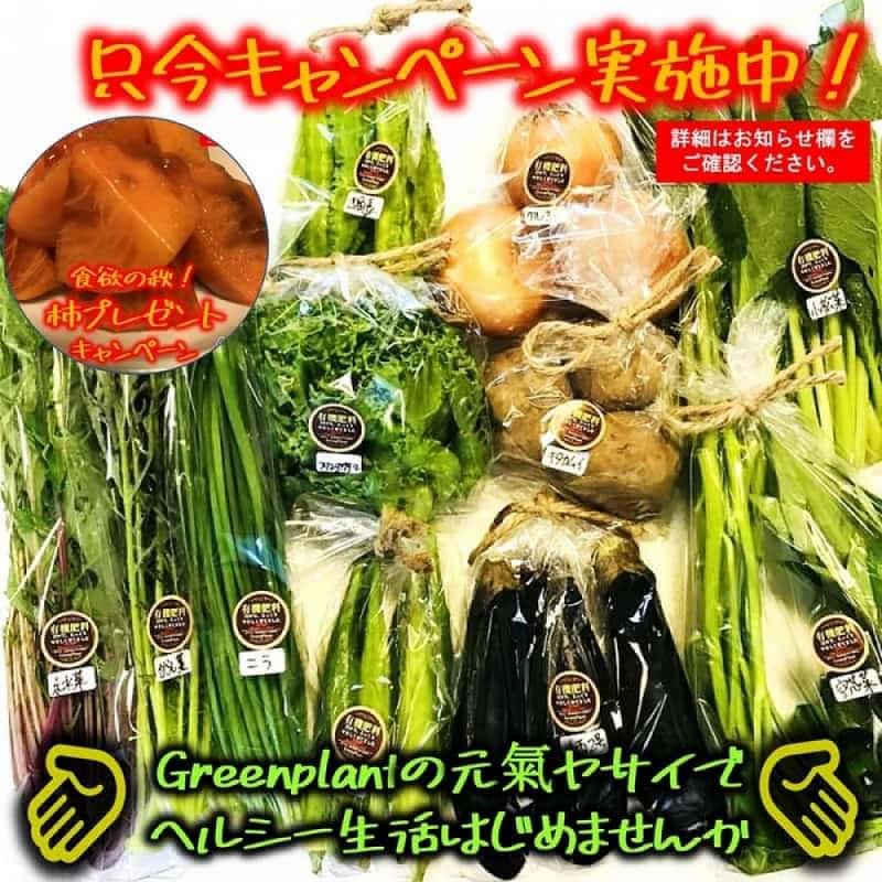 ゴヒイキ】農家直送！旬な野菜・果物のネット通販リクエスト宅配