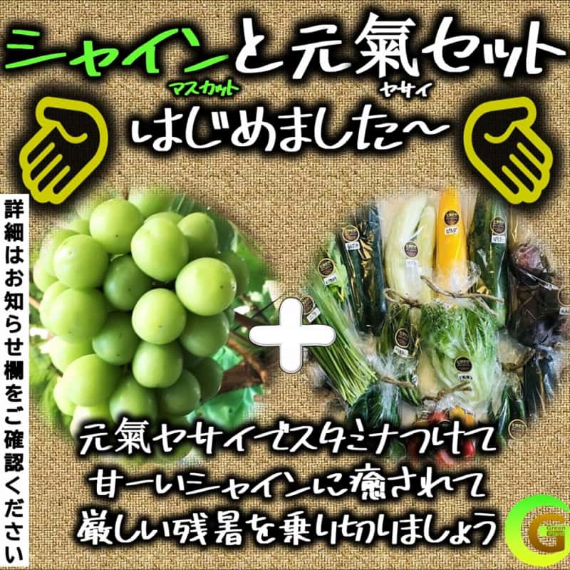 ゴヒイキ】生産者直送！旬な食材のネット通販リクエスト宅配