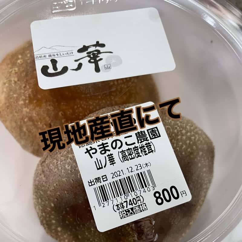 2023新作モデル 上州産 群馬県産 みょうが 無農薬 約600g 茗荷蕎麦