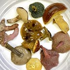 天然きのこ 山菜屋しもだ 長野県長野市 ゴヒイキ 農家直送 野菜 果物ネット通販